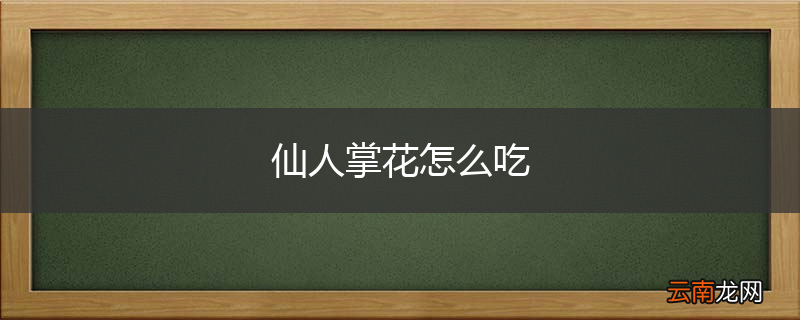 仙人掌花怎么吃