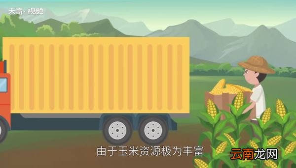 煮玉米需要多长时间 玉米煮多久才能熟