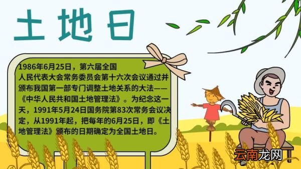 土地日手抄报图片 土地日手抄报步骤
