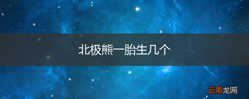 北极熊一胎生几个
