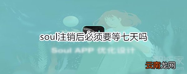 soul注销后必须要等七天吗