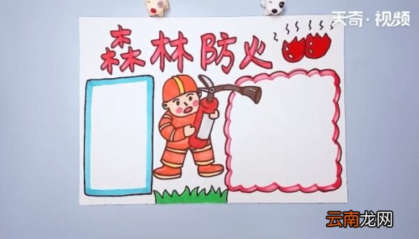 森林防火手抄报 森林防火手抄报画报