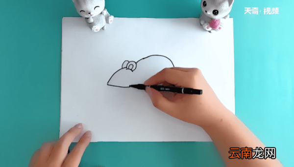 鼠简笔画 鼠简笔画报