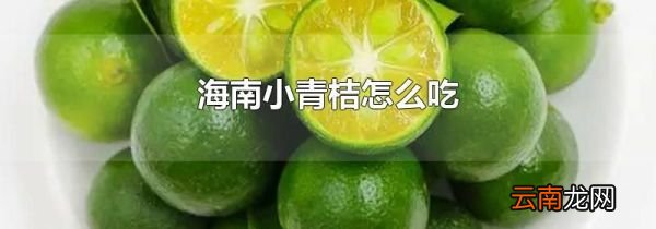 海南小青桔怎么吃
