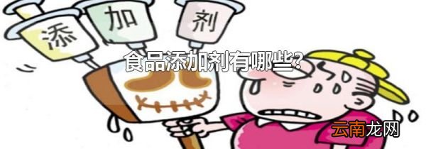食品添加剂有哪些?