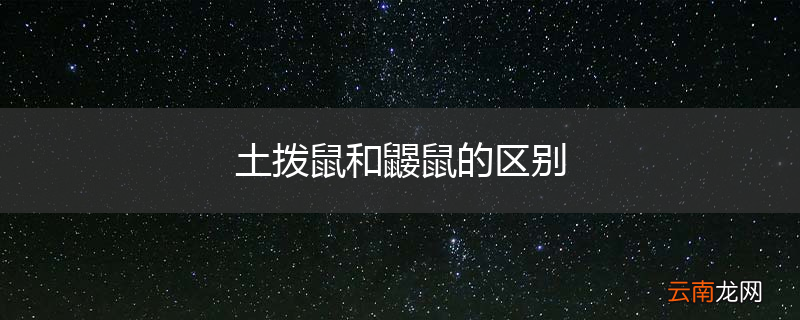 土拨鼠和鼹鼠的区别