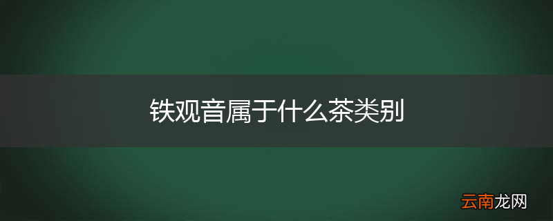 铁观音属于什么茶类别