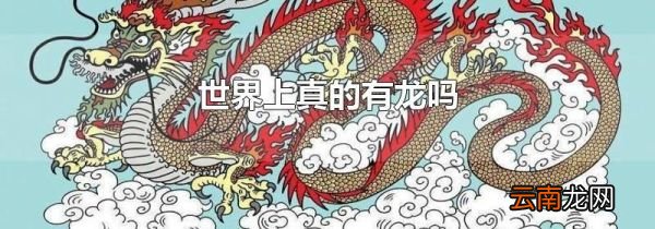 世界上真的有龙吗