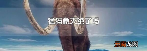 猛犸象灭绝了吗