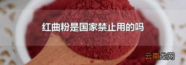 红曲粉是国家禁止用的吗