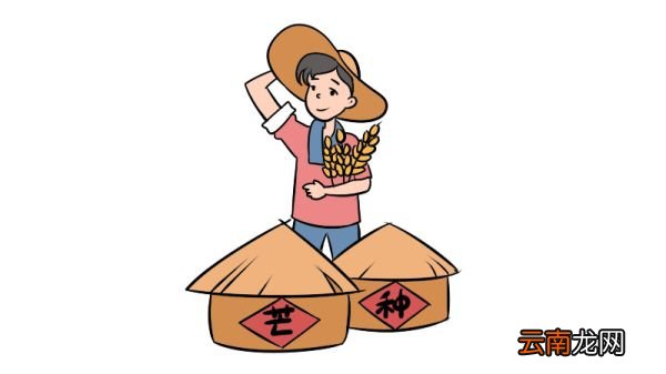 芒种简笔画教程是什么芒种简笔画怎么画