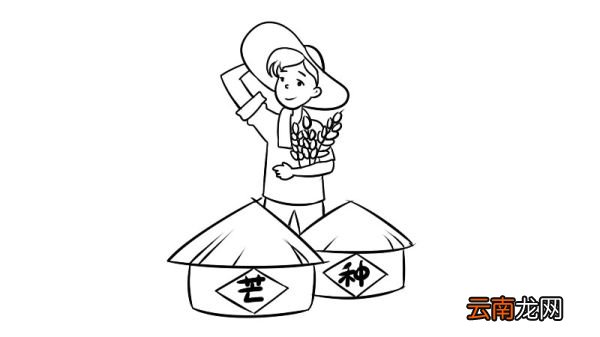 芒种简笔画教程是什么芒种简笔画怎么画