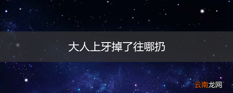 大人上牙掉了往哪扔