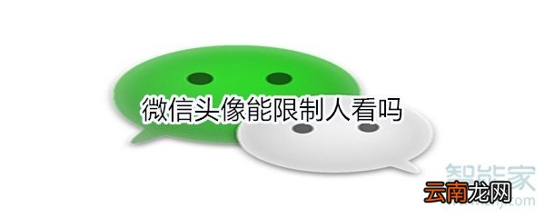 微信头像能限制人看吗