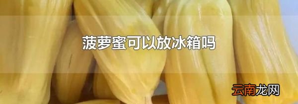 菠萝蜜可以放冰箱吗