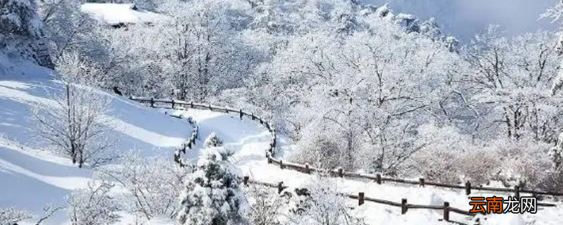 杭州为什么会下雪