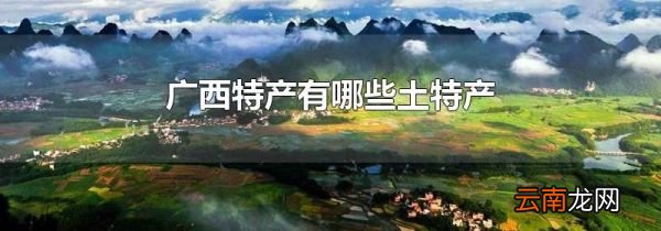 广西特产有哪些土特产
