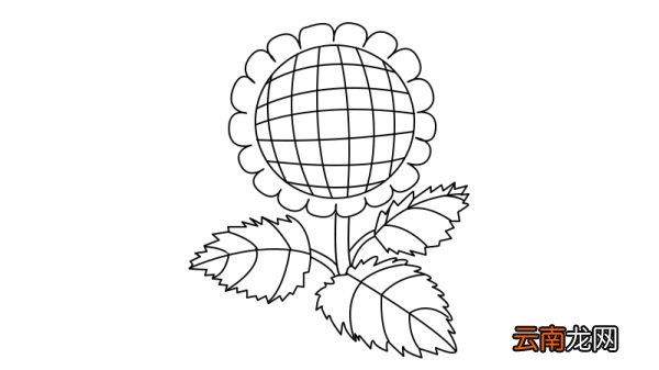 花草树木房子简笔画大全