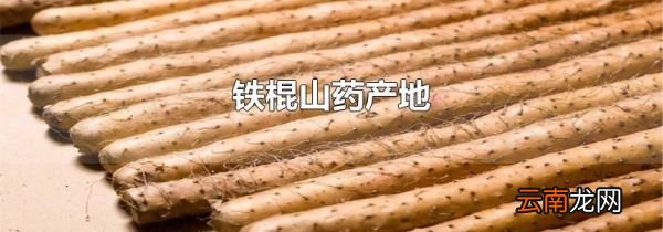 铁棍山药产地