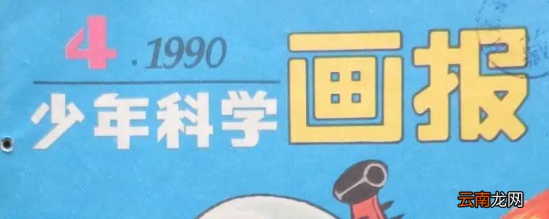 画报是什么样子的