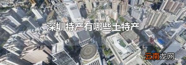 深圳特产有哪些土特产