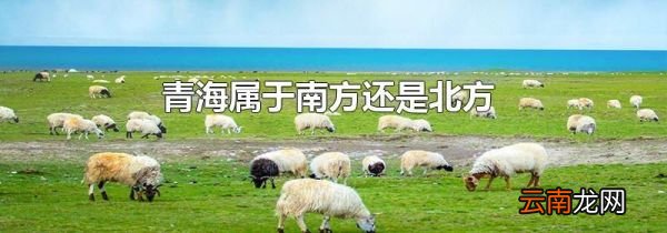 青海属于南方还是北方