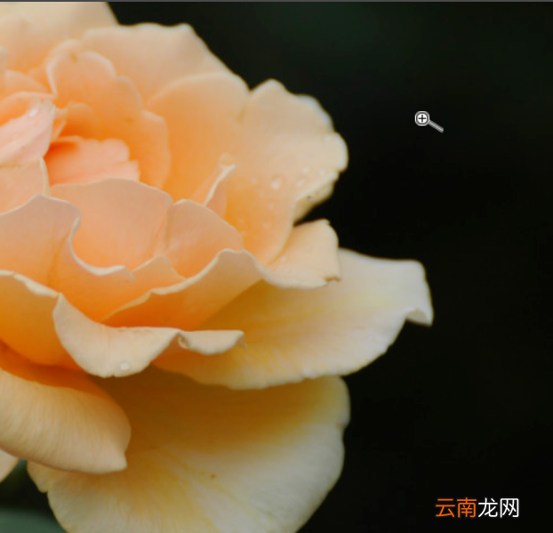Photoshop中使用抓手工具具体操作方法
