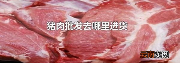 猪肉批发去哪里进货