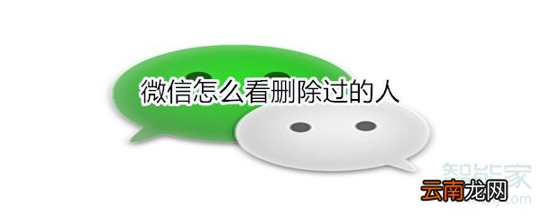 微信怎么看删除过的人