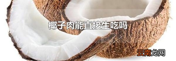椰子肉能直接生吃吗