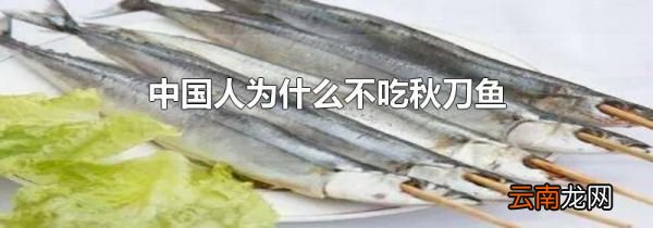 中国人为什么不吃秋刀鱼