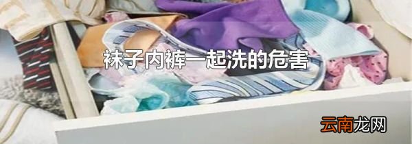 袜子内裤一起洗的危害
