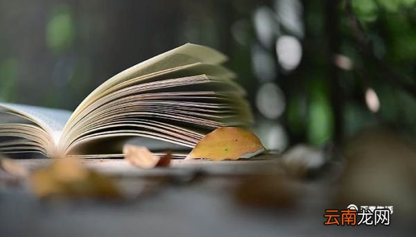 闾门即事这首诗的翻译 闾门即事这首诗的意思