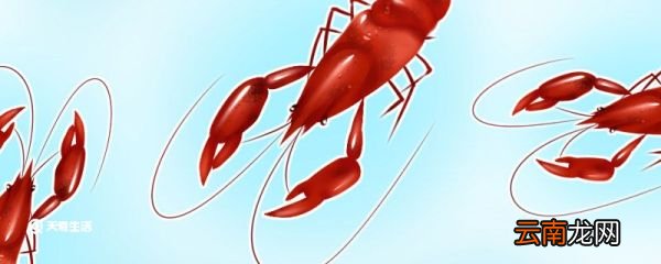 龙虾要煮多久才熟 小龙虾要煮多久才熟