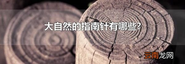 大自然的指南针有哪些?
