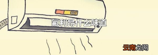 氟利昂什么味道