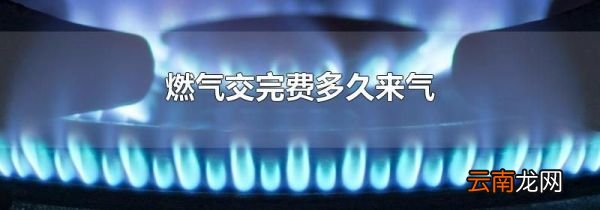 燃气交完费多久来气