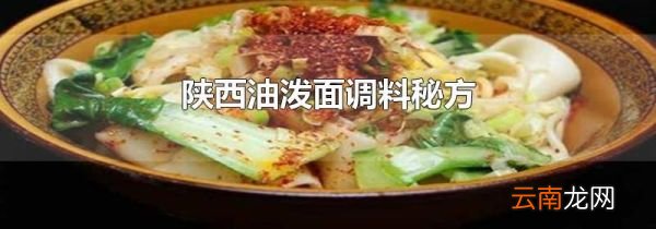 陕西油泼面调料秘方