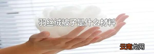 羽丝绒被子是什么材料