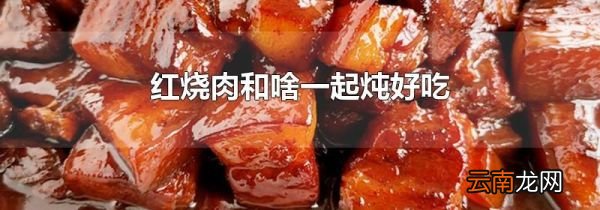 红烧肉和啥一起炖好吃