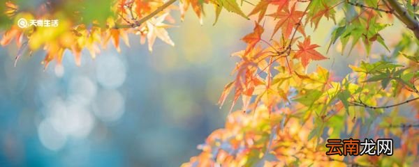 晴不知夏去 一雨方觉秋深是什么意思 晴不知夏去 一雨方觉秋深出自哪里