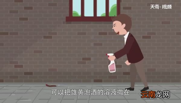蜈蚣怕什么 蜈蚣怕风油精吗