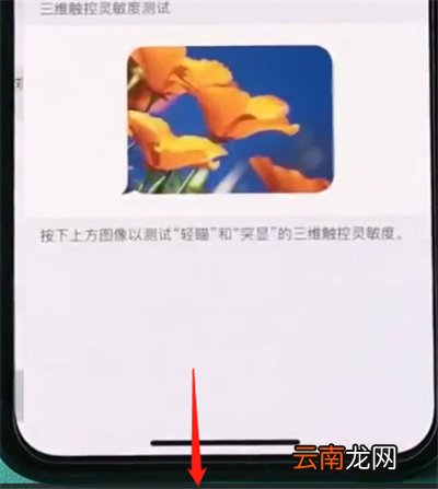 iPhoneXs Max中打开半屏功能具体操作方法
