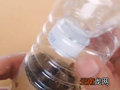 自己做灭蟑螂的方法