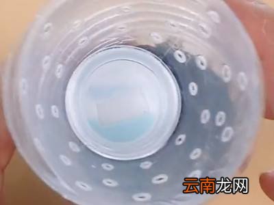 自己做灭蟑螂的方法
