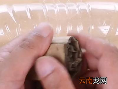 自己做灭蟑螂的方法