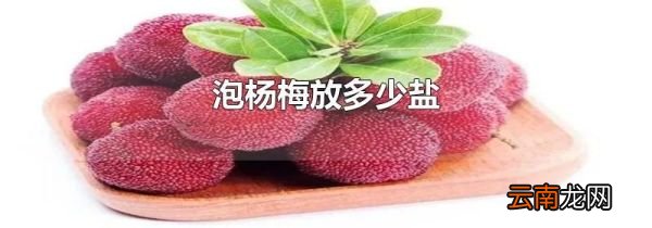 泡杨梅放多少盐