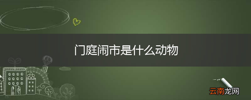 门庭闹市是什么动物