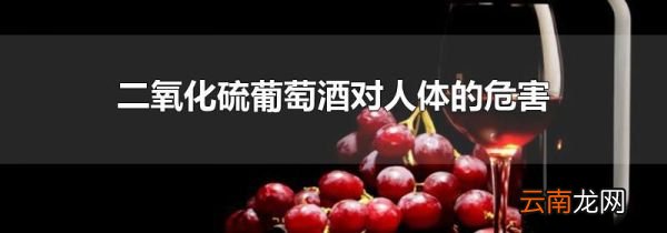 二氧化硫葡萄酒对人体的危害