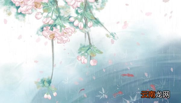 花非花雾非雾比喻什么 花非花雾非雾比喻什么意思